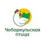 Чебаркульская птица